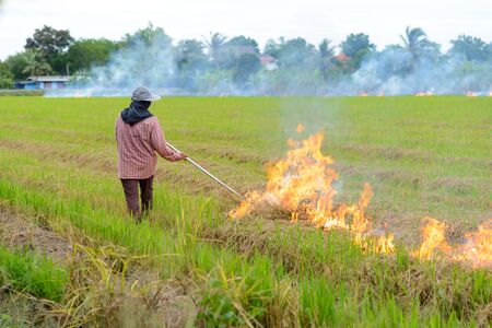 Thai farmers are burning straw stubble farmers when the harvest is complete. another cause of global warmingの写真素材