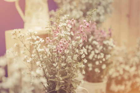 tiny flower grass vintage styleの写真素材