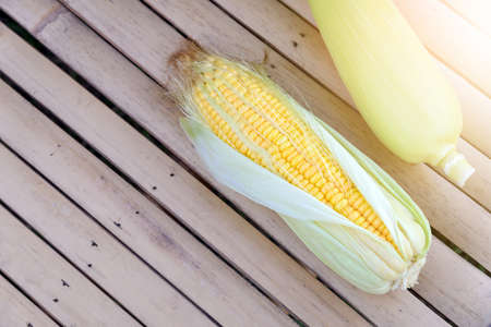 Top view of fresh corn on cobs on rustic wooden with Copyspace