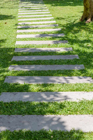 Square block walk way in gardenの写真素材