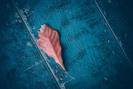 Top view of Autumn Leave over rustic wooden table background with Copy spaceの写真素材