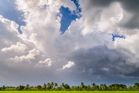 Dark clouds over rice field before rain storm. Natural backgroundの写真素材