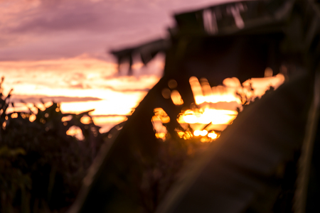 Abstract blurred of Sunset nature backgroundsの写真素材