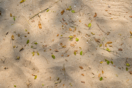 Top view of dirty sand on the beach - Background textureの写真素材