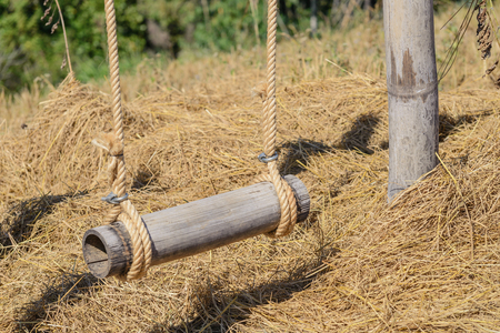close-up empty wooden swing hanging from a large tree with sunlightの写真素材