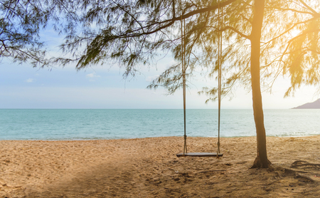 Rope wooden swing hanging on tree at topical beach with sunlight in Thailandの写真素材