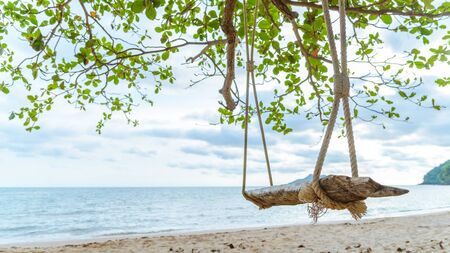 Rope wooden swing hanging on tree at topical beach with sunlight in Thailandの写真素材