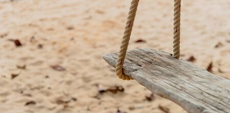 Close-up of Rope wooden swing hanging on tree at topical beach with sunlight in Thailand