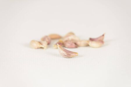 Fresh garlic cloves on white canvas background with copy space. select focusの写真素材