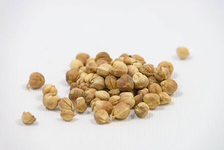 Best cardamom, Siam Cardamom or Kapulaga on white canvas background. Camphor dried seeds. Dried Herb Spiceの写真素材
