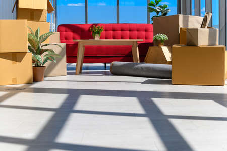 cardboard boxes stacked, plants, comfortable couch near big window inside of modern living room in...
