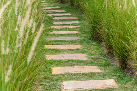 stone path in the flowers grass field on beautiful sunshine dayの写真素材