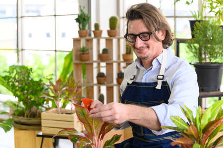 Portrait of happy gardener senior man wearing glasses taking care of small tree in plant pot as a...