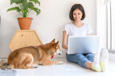 Beautiful young asian woman working on the floor in living room at home with her Shiba Inu Japanese dog, Cheerful and nice couple with people and petの写真素材