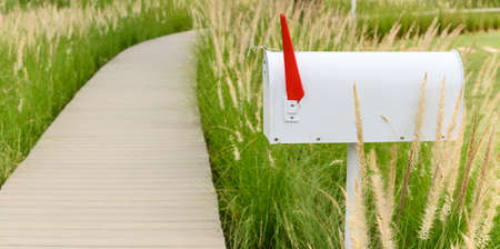 White metal mailbox or post box side of wooden way with grass flowersの写真素材