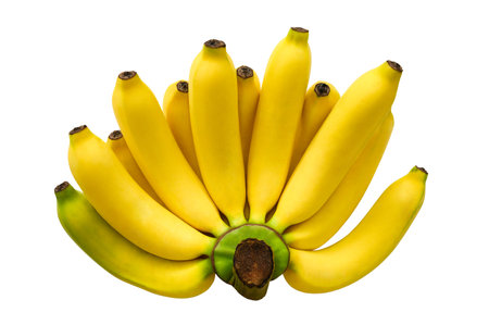 Bunch of fresh banana isolated on white background with clipping pathの写真素材