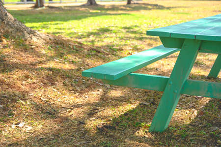 Close up part of green wooden picnic bench under big tree in park. Free copy space for textの写真素材