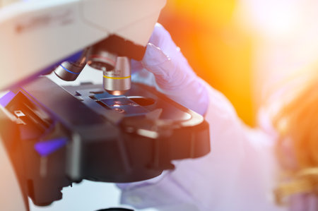 The scientist handed in blue gloves looking under a microscope to analyze the test sample. Medical...