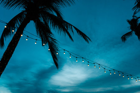 light bulbs on string wire decoration at the party event festival on the beach at sunset. Outdoor...