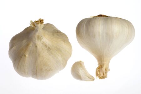 two garlics on whiteの写真素材