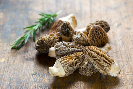 Fresh Morels Mushrooms on rustic backgroundの写真素材