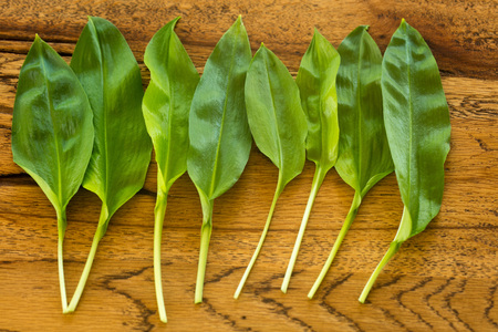Fresh ramsons on a rustic wooden plate