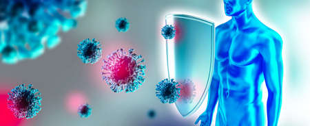 Immune system of human, protection against viruses and bacteria.の写真素材
