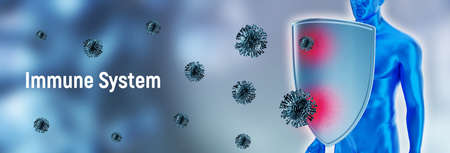 Immune system protection against viruses and bacteria.の写真素材