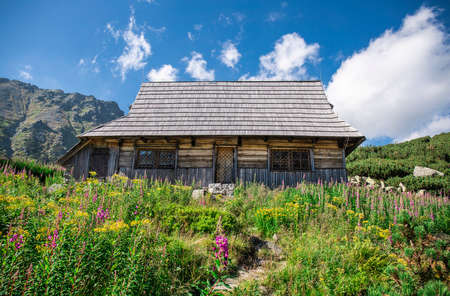 Alpine style meadow with rural ristic house in the mountains valley. Traditional wooden hut with blue sky in the background.の写真素材