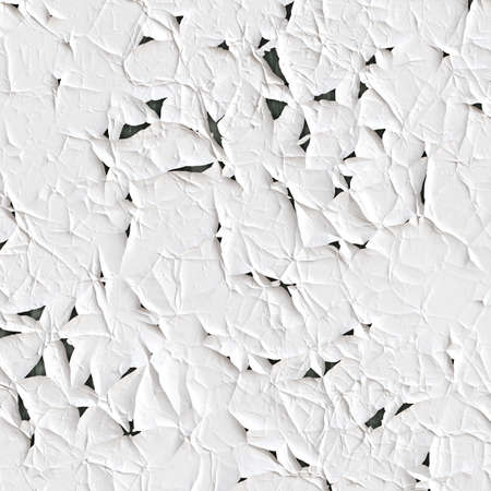 white backgroundの写真素材