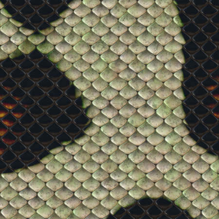 snake skin