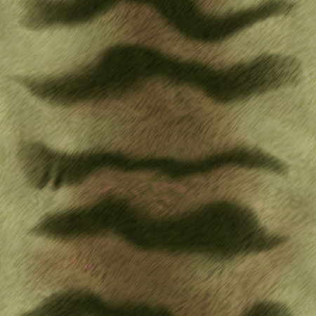 tiger fur