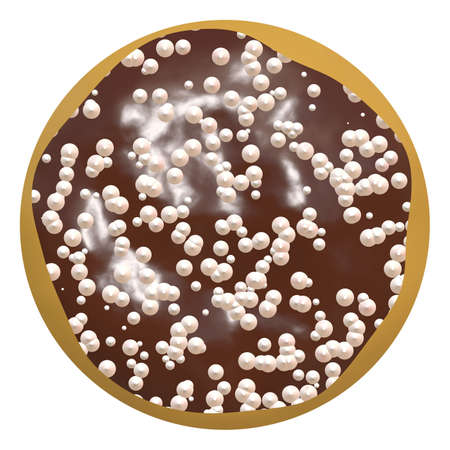 isolated donut