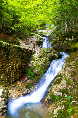 Waterfall in the forestの写真素材