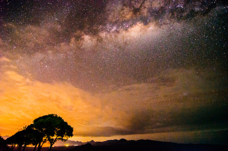A breathtaking night sky over a silhouette of trees, showcasing the vibrant core of the Milky Way galaxy against a dramatic orange and purple-huedÂ horizon.の写真素材