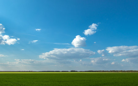 Green field and blue sky with white clouds. Landscape. Nature.の写真素材