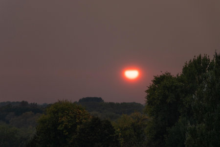 Sunset over the forest. The sun sets behind the trees.の写真素材