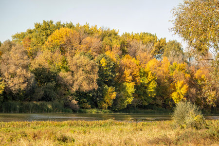 Autumn landscape with colorful trees on the bank of the river.