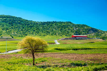 Iraqi countryside in spring seasonの写真素材