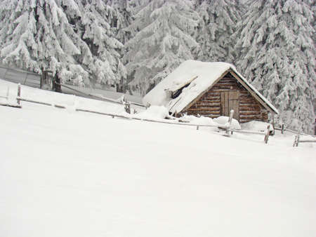 Little hut covered in snow in mountains in winterの写真素材