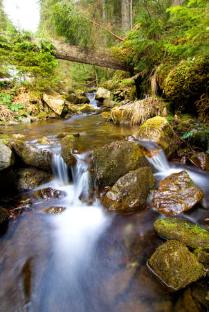 little waterfall in mountain forest with silky foaming waterの写真素材