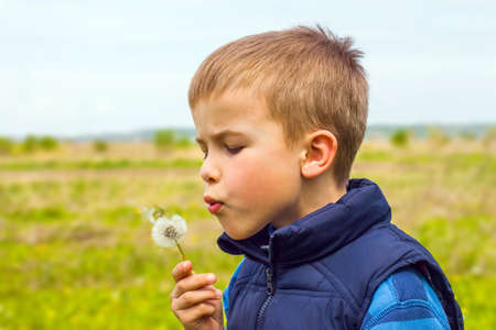 Boy is blowing on white dandelion in sunny spring dayの写真素材