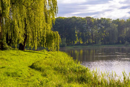 Lake in park  green trees and blue waterの写真素材