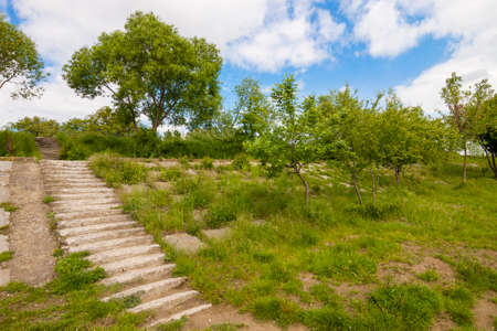 Old ruined concrete stairs with green trees and grass and blue sky with puffy clouds sunny dayの写真素材