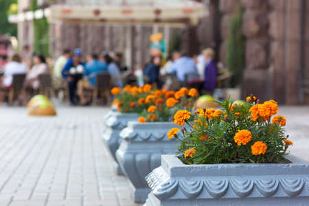 Blurred view of street cafe with pot flowers in frontの写真素材