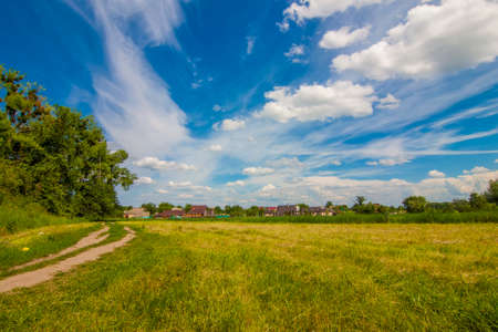 Country road near green trees in a sunny summer day