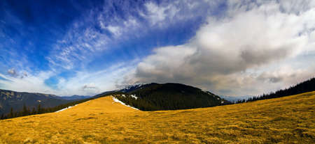 Mountains panorama with dramatic sky and yellow field in Carpathian mountainsの写真素材