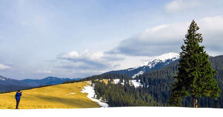 Lonely photographer in mountains taking the picture of a lonely pine tree in winter dayの写真素材