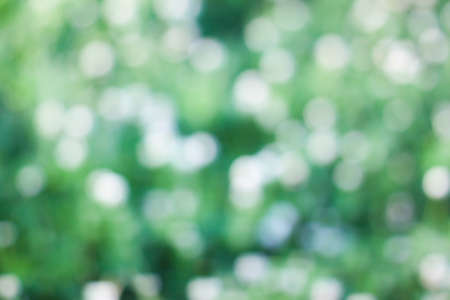 Abstract bokeh green circles backgroundの写真素材
