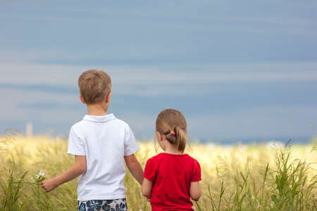 Little boy and little girl standing holding hands looking on horizontの写真素材